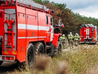 В Севастополе ввели особый противопожарный режим