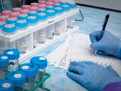 COVID-19 в Севастополе: за сутки подтвердились 19 новых случаев