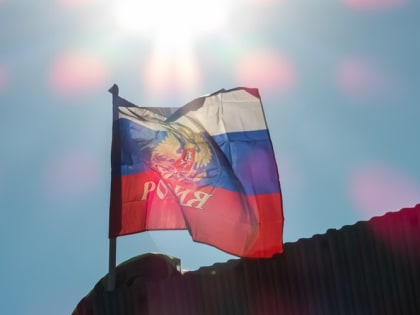 Уголовное наказание за русофобию начали прорабатывать в Госдуме