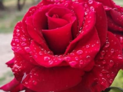 Погода в Крыму: небольшой дождь и температура до 27 градусов