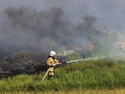 20 человек тушили горящее поле в Белогорском районе