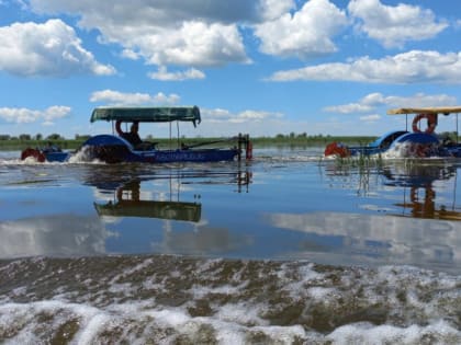 Росрыболовство обсудит работу по оздоровлению Волги в рамках нацпроекта «Экология» на общественных слушаниях в Астраханской области