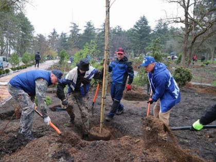 Более девяти тысяч крымчан вышли на акцию "Посади своё дерево жизни"