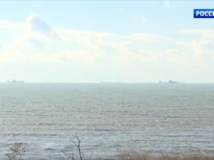 Учёные провели 10 тысяч исследований из-за загрязнения мазутом Чёрного моря