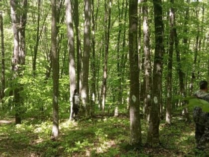 Подведение итогов за 2024 год по ГЛПМ