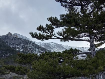 В воскресенье в Крыму до 11 градусов тепла, дождь