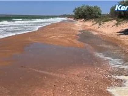 В Новоотрадном подмыло пляж (видео)