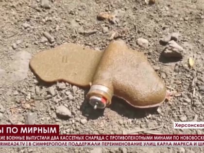 ВСУ обстреляли село Нововоскресенское Херсонской области кассетными снарядами с противопехотными минами