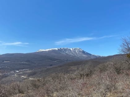 В МЧС по Крыму предупредили о высокой пожарной опасности