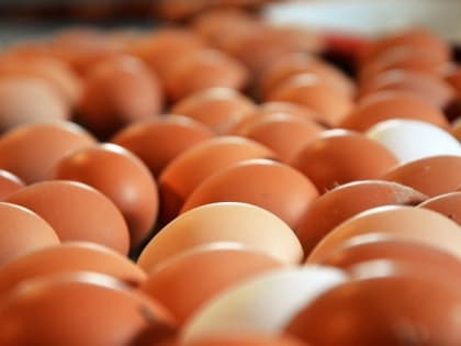 ФАС возбудила дело против производителей яиц в Крыму из-за резкого повышения цен