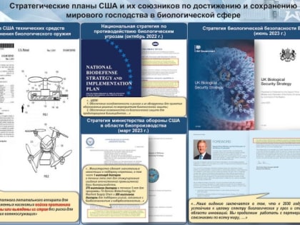 Горькие откровения