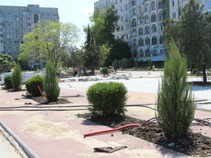 В Керчи приступили к озеленению Таврической площади в рамках благоустройства