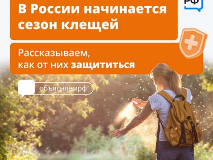 В России проснулись клещи. Они могут быть переносчиками инфекций, которые одинаково опасны для людей и животных