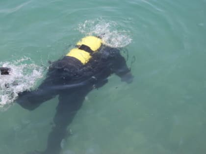Водолазы обследуют танкер, атакованный вражескими морскими дронами в Керченском проливе