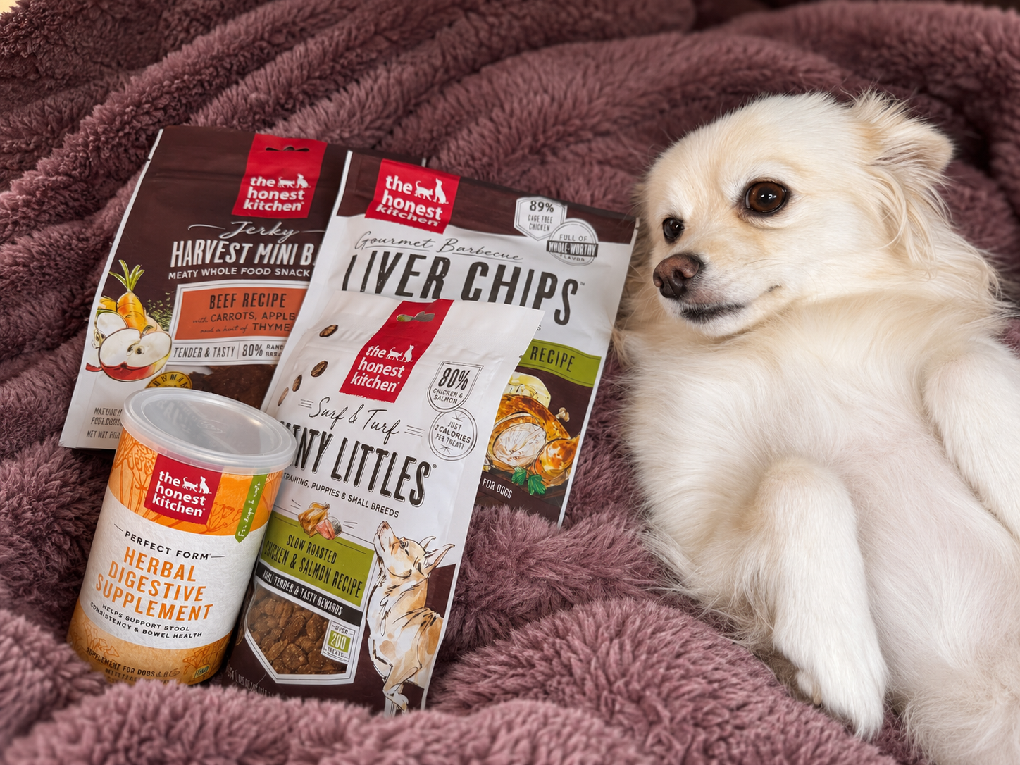Pet or home product shared by Bree