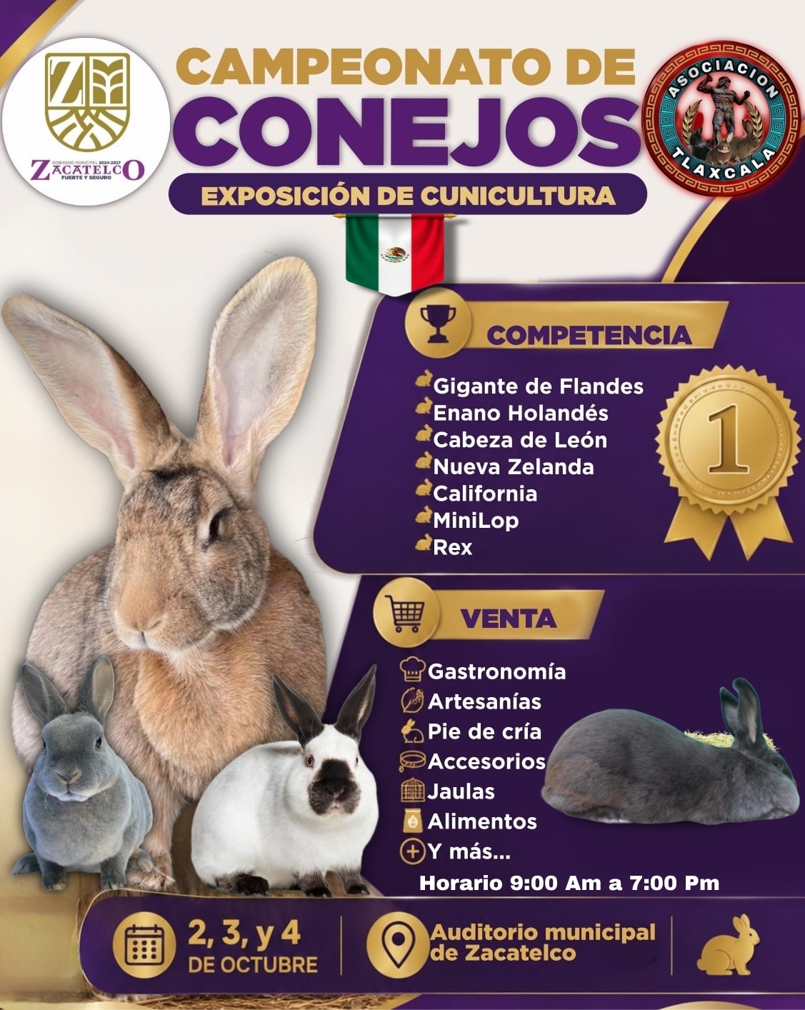 CAMPEONATO DE CONEJOS