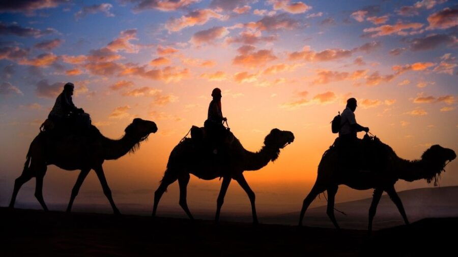 Desert safari tours from Marrakech to Merzouga (3 Days / 2 Nights)
