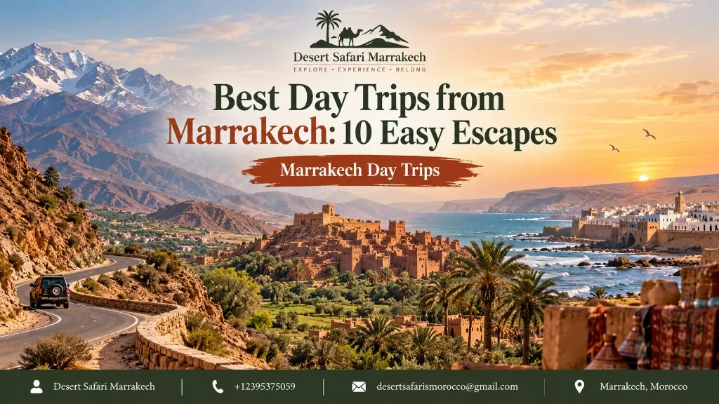 Mountain road and varied landscapes on a day trip from Marrakech