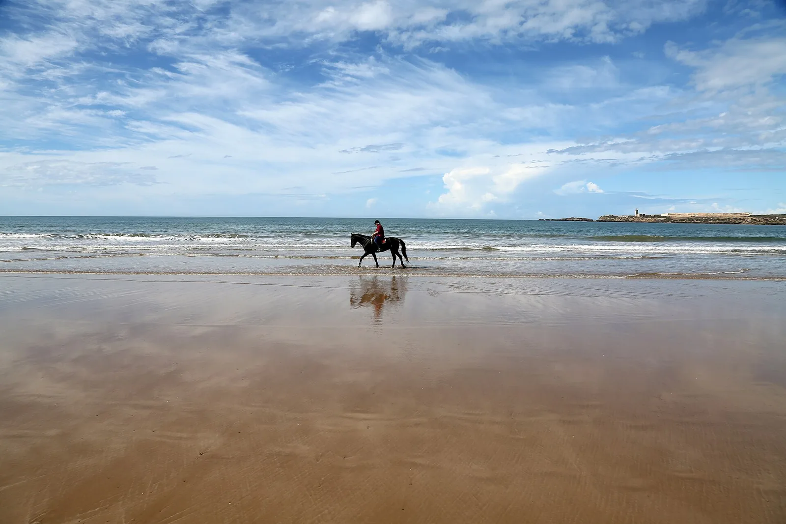 Horse rider on the wide sandy beach of Essaouira