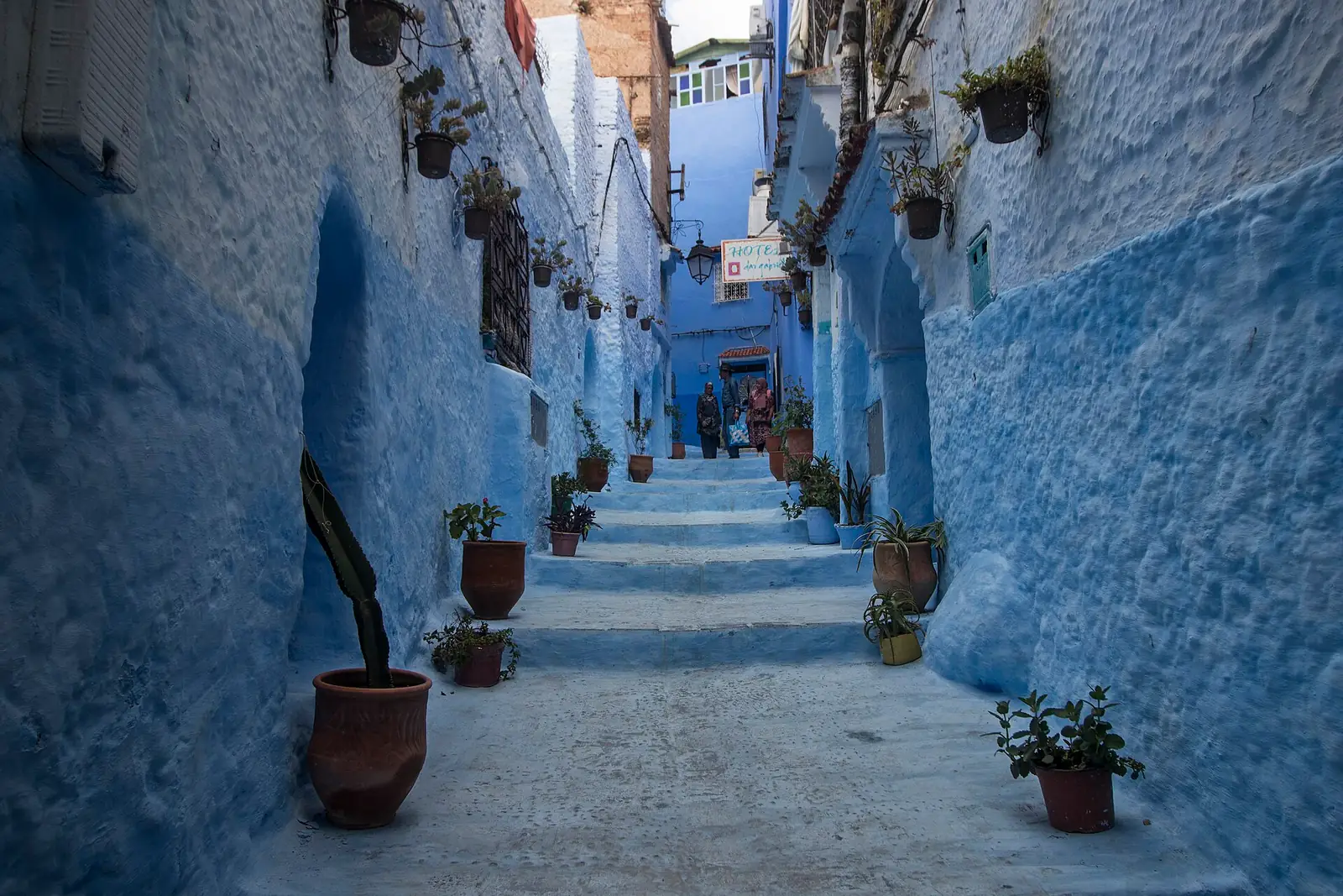 Blue-painted alley lined with potted plants in Chefchaouen