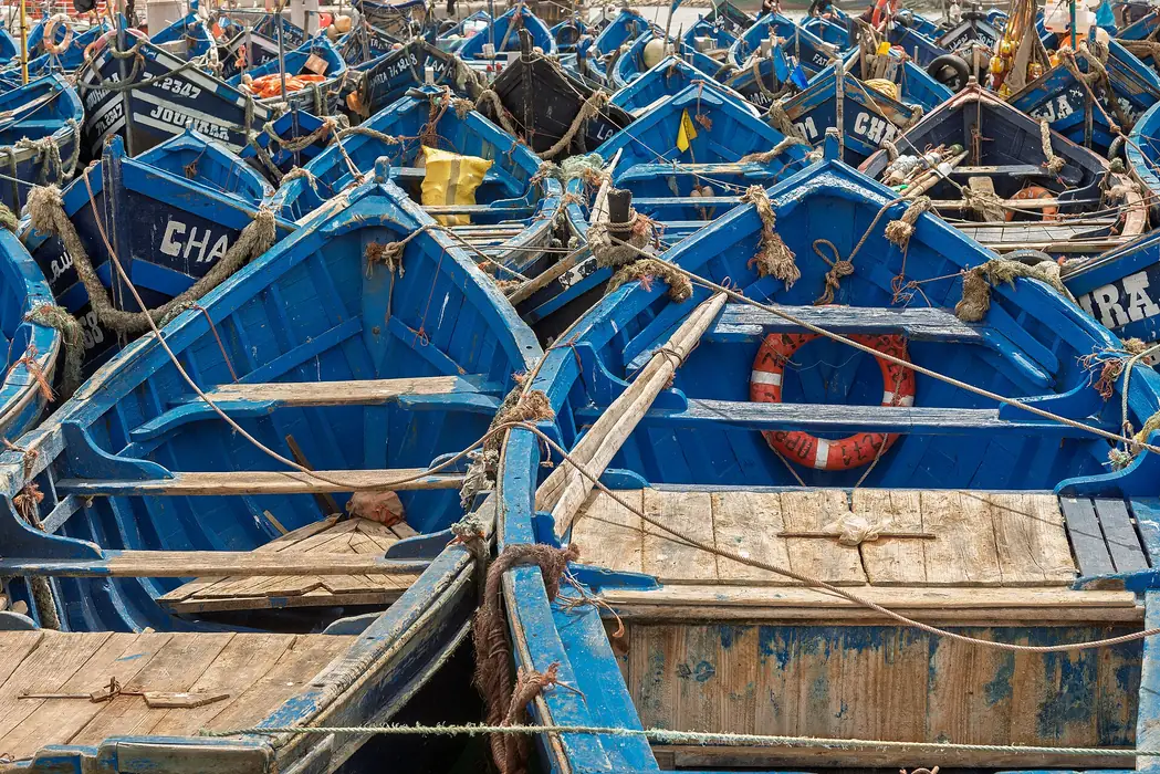 Blue wooden fishing boats moored in Essaouira harbor