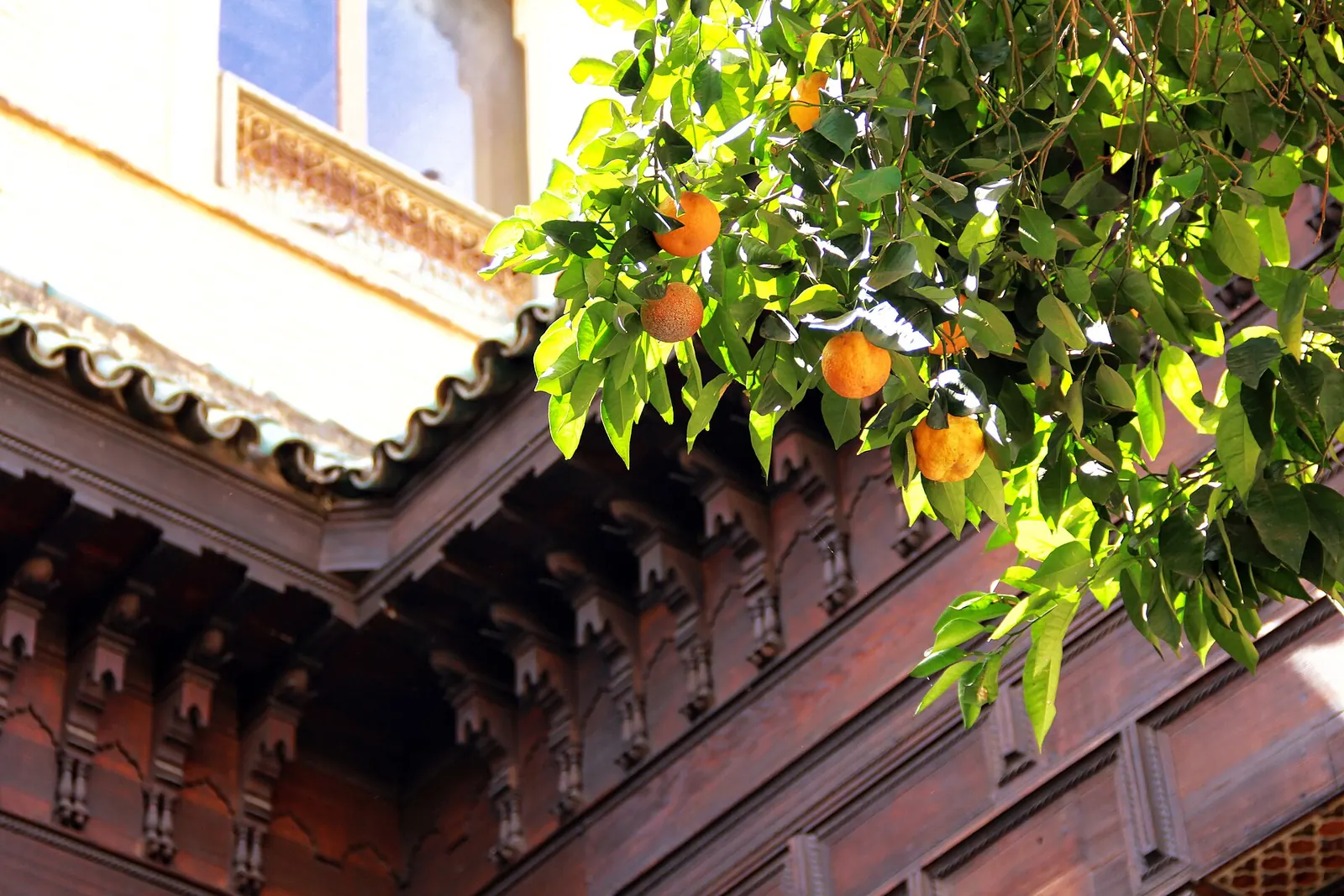 An orange tree beside a tiled roof edge in the Bahia Palace