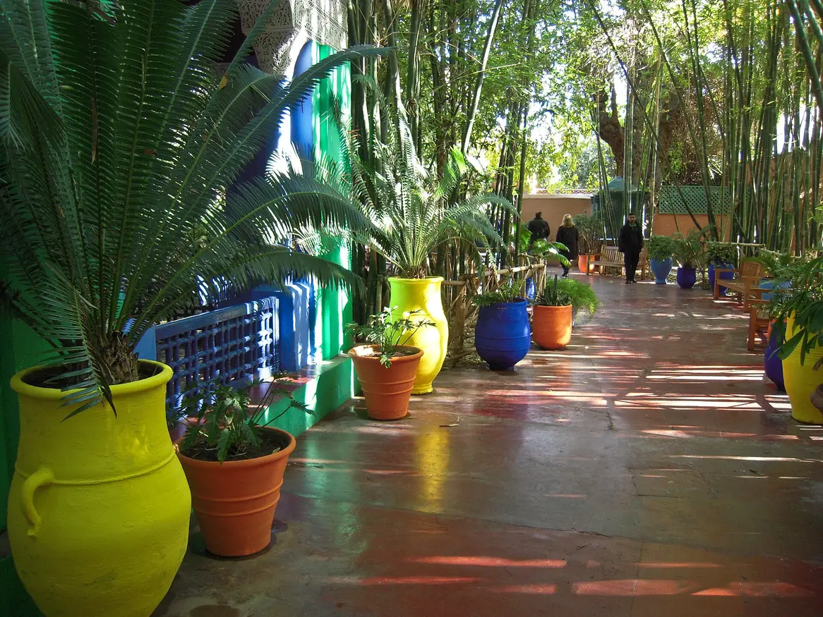 Yellow and blue pots along a path in Jardin Majorelle