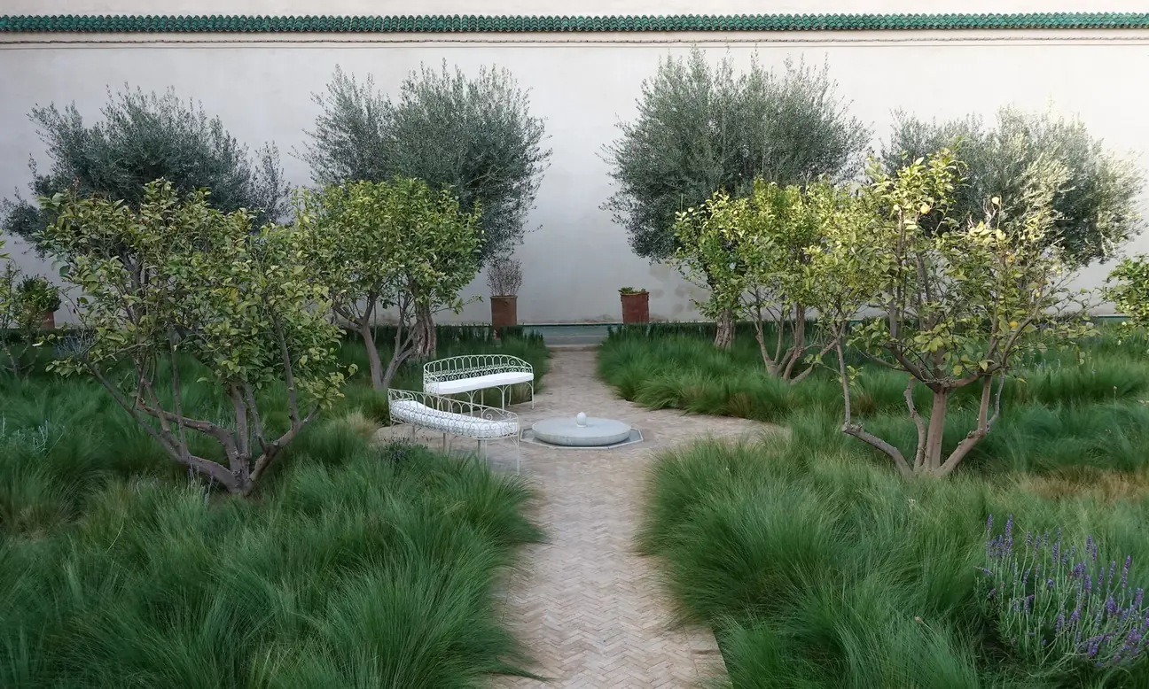 Trees and planting in Le Jardin Secret