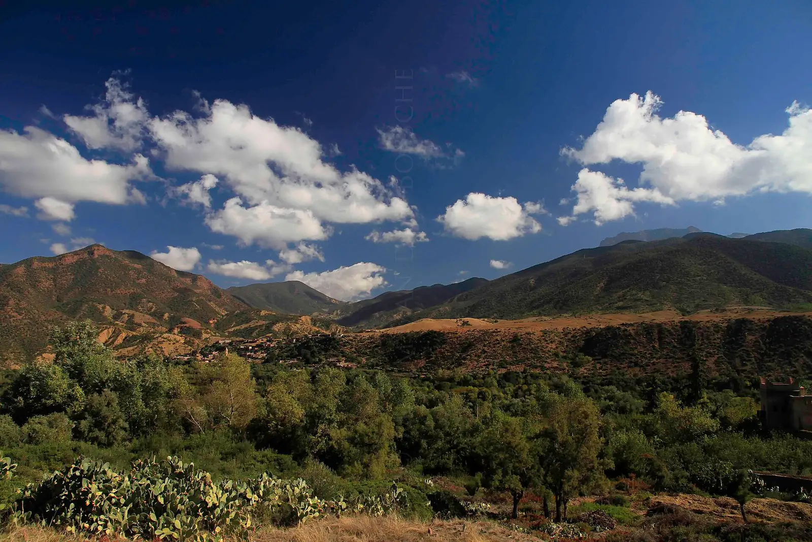 The green Ourika Valley in the High Atlas near Marrakech