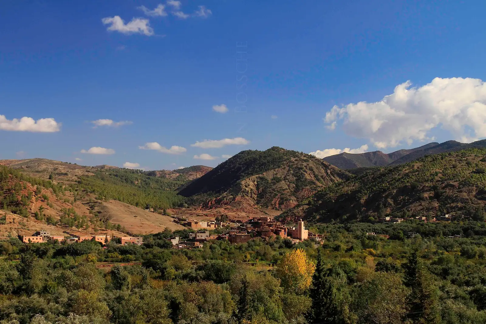 Terraced fields and trees in the Ourika Valley
