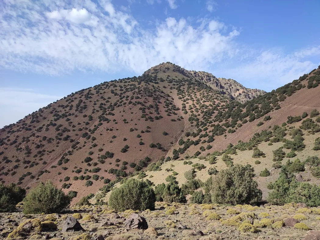 Slopes of the High Atlas range
