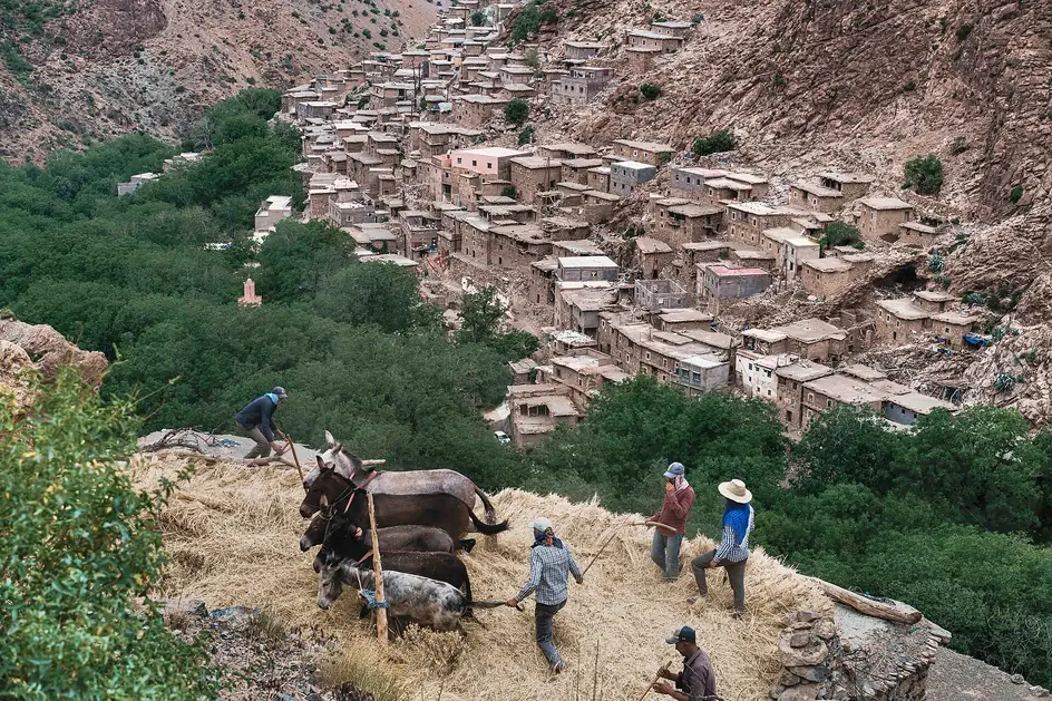 Villagers threshing grain beside a terraced village in the High Atlas