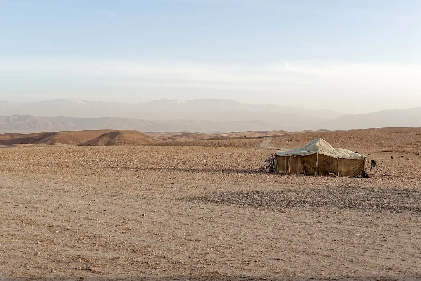 Desert camp tent on the Agafay plateau