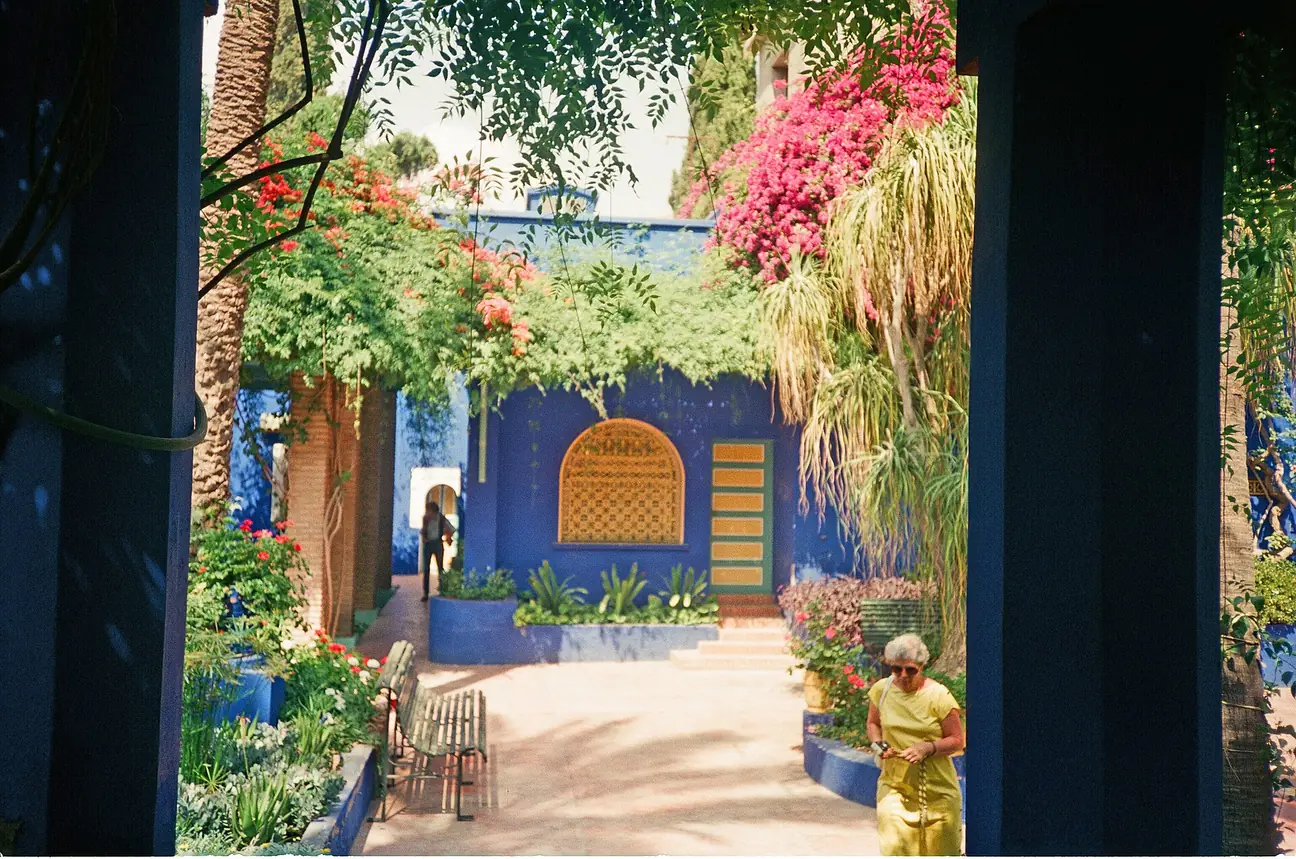 Blue villa and plants in the Jardin Majorelle