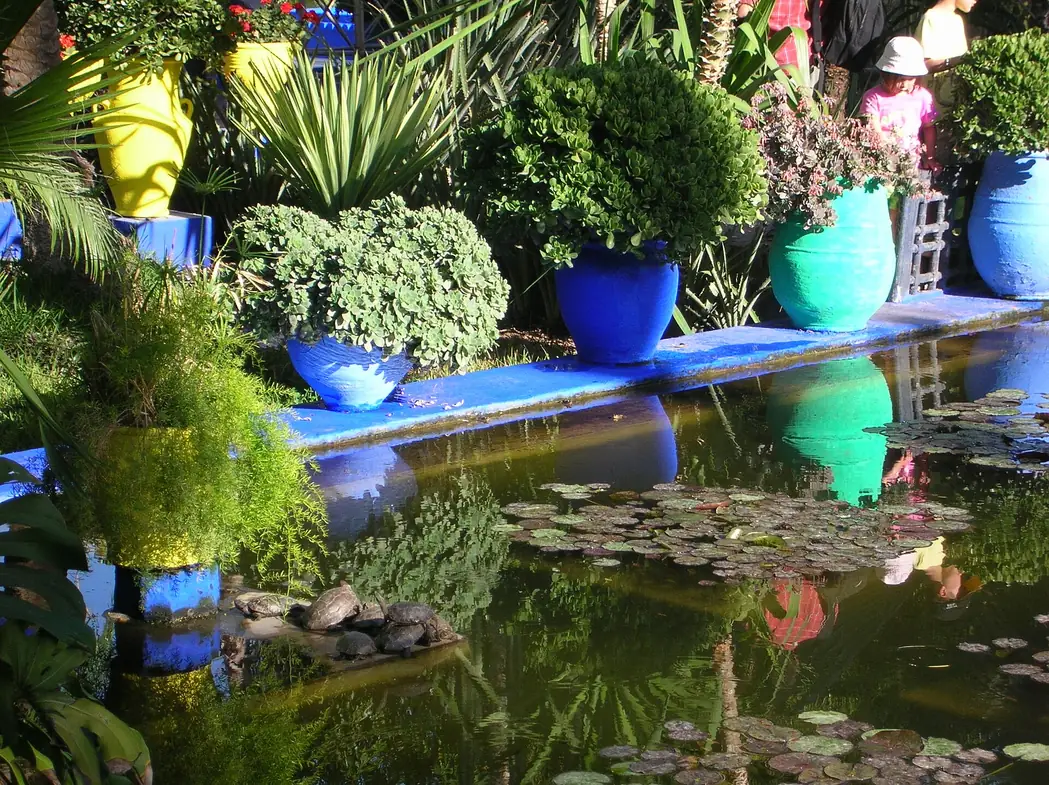 Pool and blue planters in the Jardin Majorelle