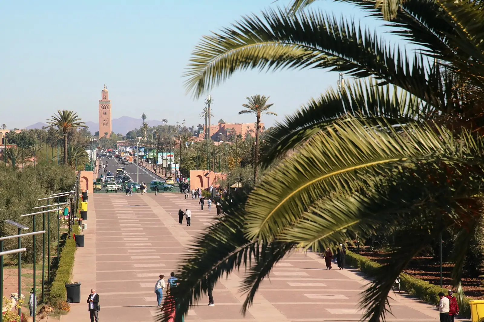 Palm-lined path in the Menara Gardens with the Koutoubia minaret in the distance
