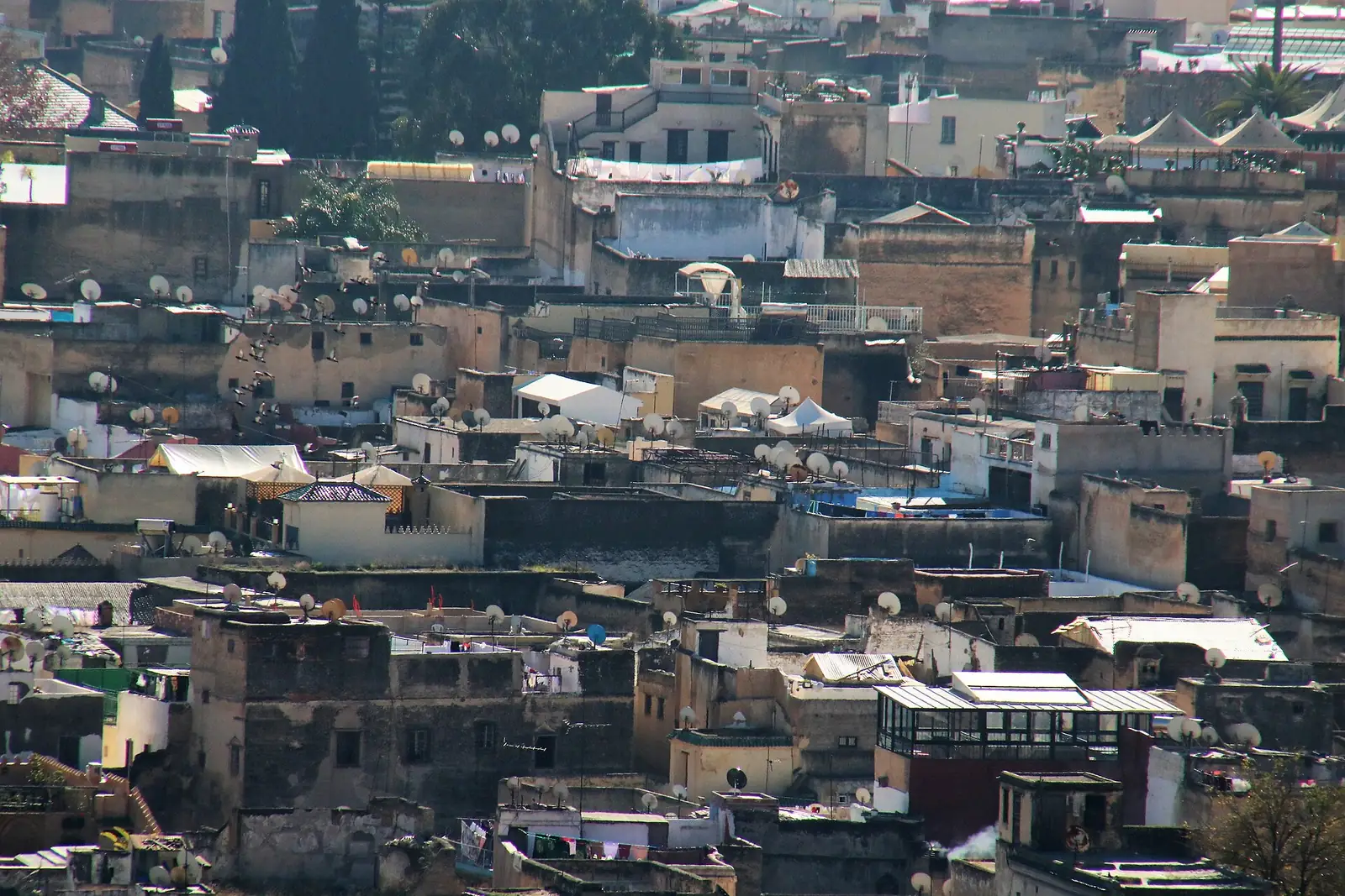 Fes el-Bali Medina in Morocco
