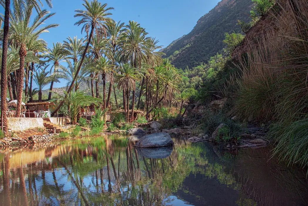 Palm-lined gorge of Paradise Valley near Agadir
