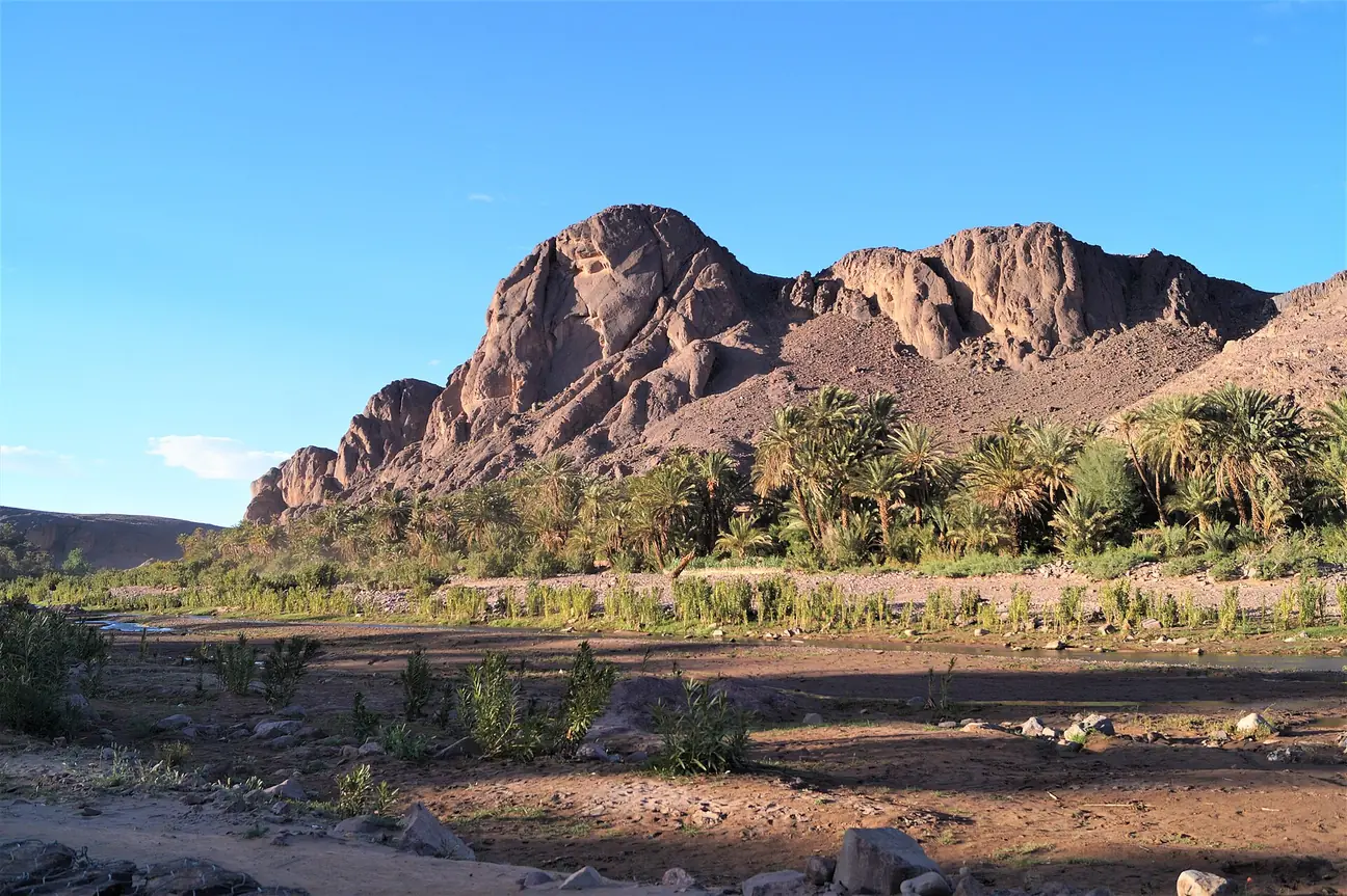 Fint Oasis in Morocco