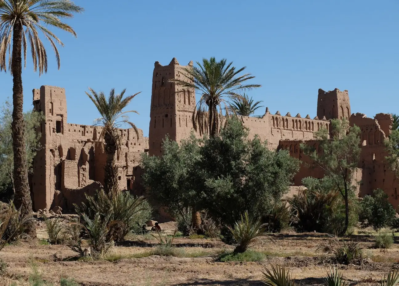 Skoura Palm Grove in Morocco