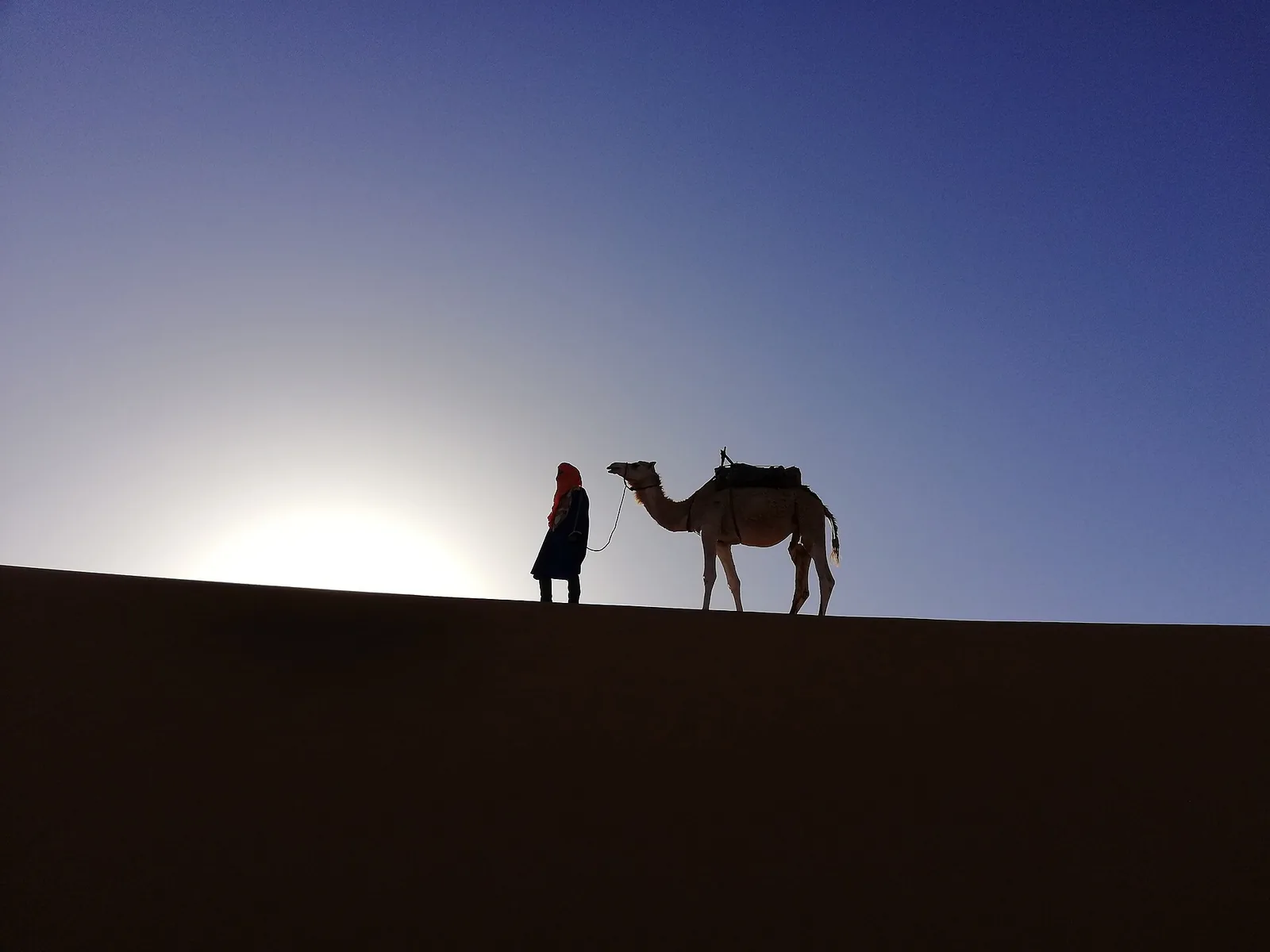 Camel silhouette at sunset in the Moroccan desert