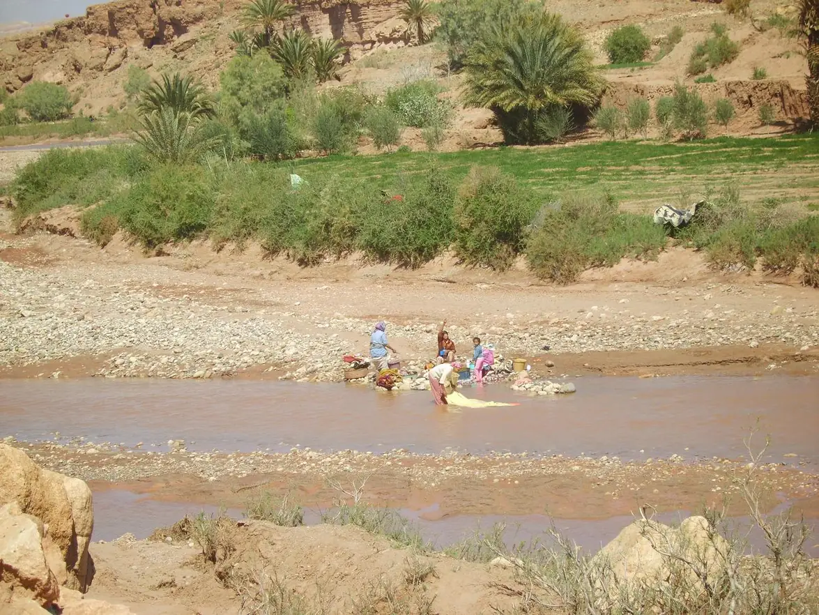Palm groves of the Draa Valley