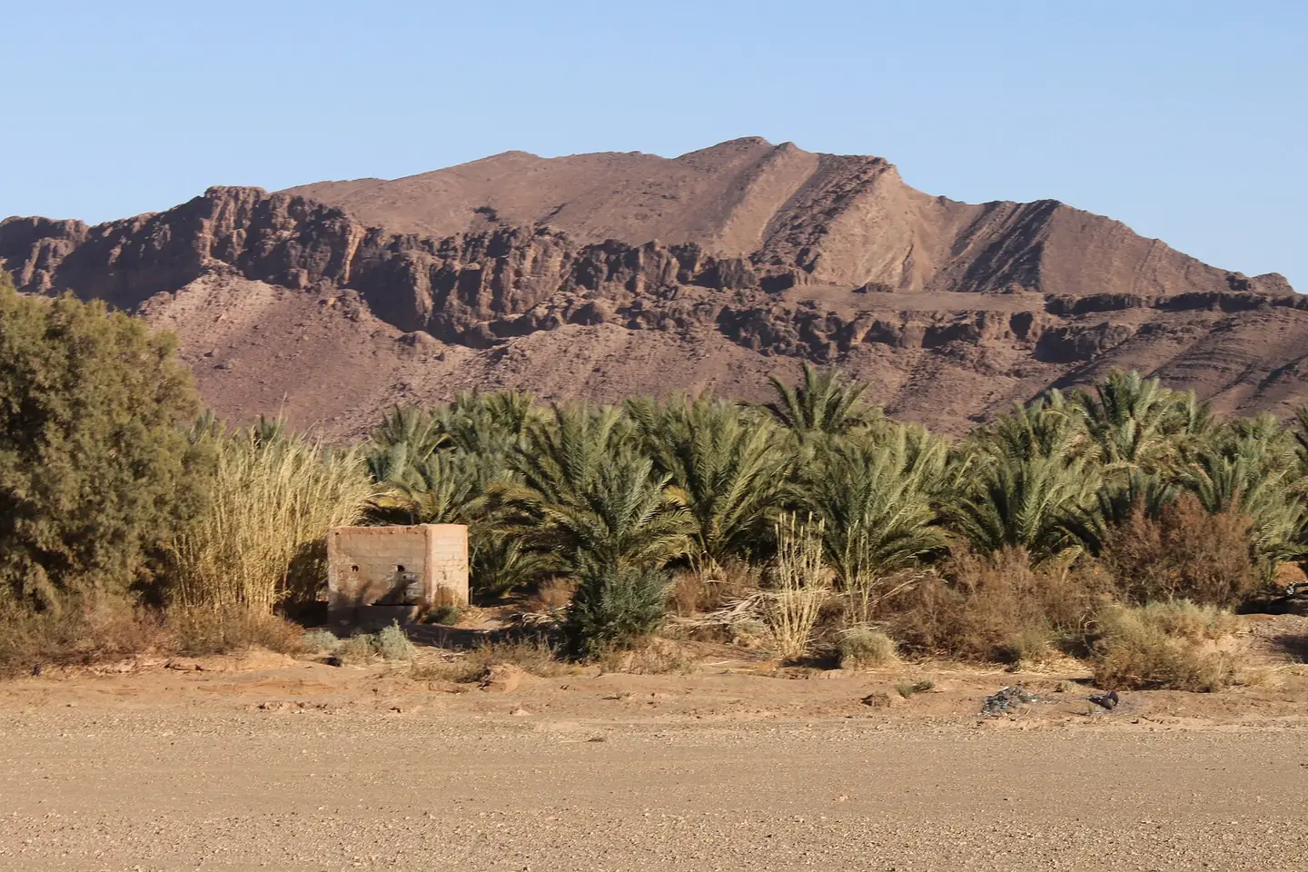 Palm groves below desert mountains, Zagora
