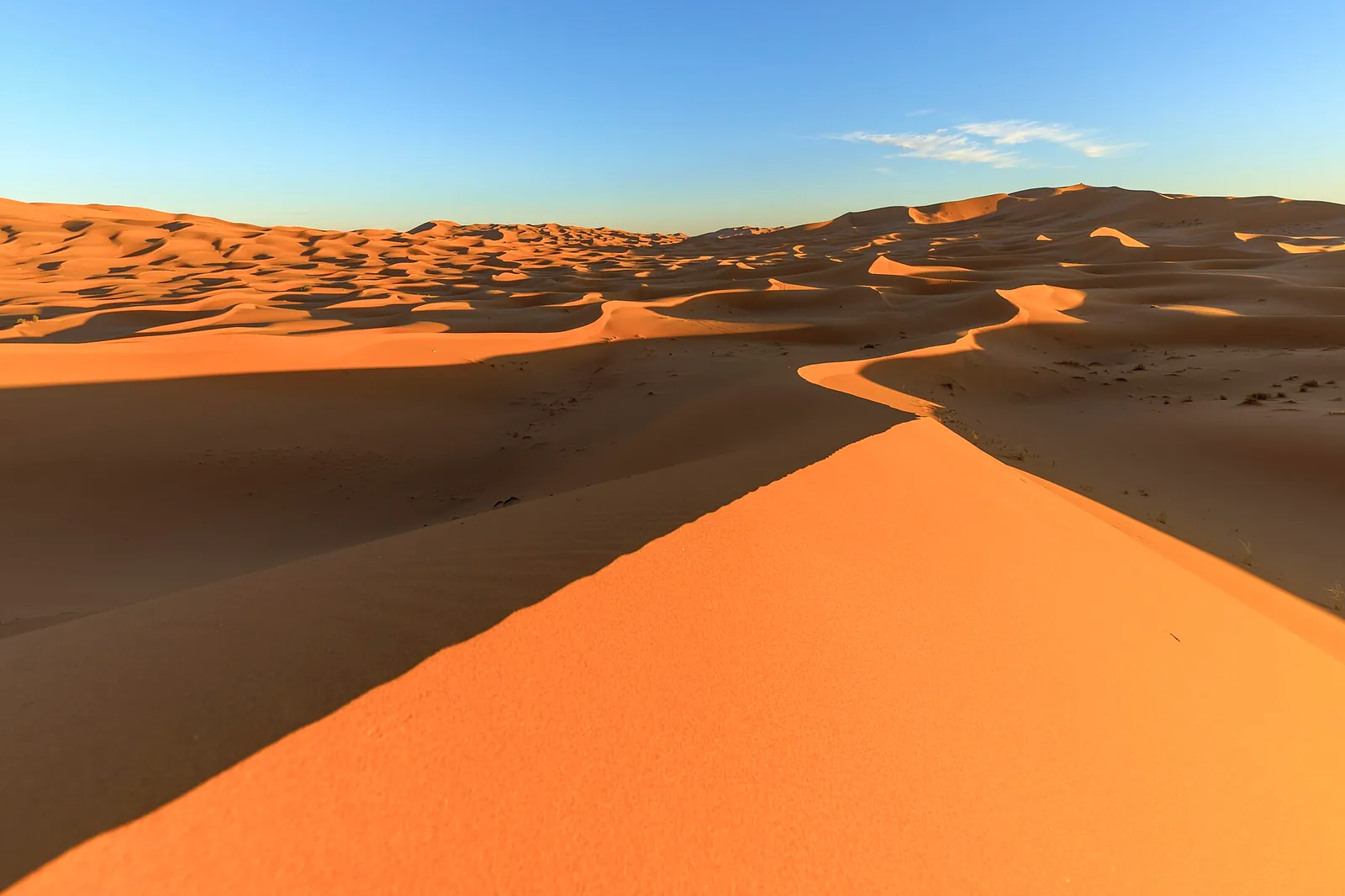 Sand dunes in the evening light, Erg Chebbi Dunes