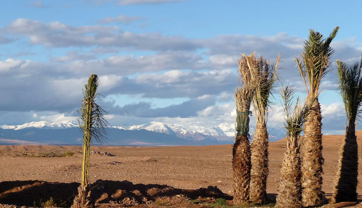 Palms and mountains in the Dades Valley