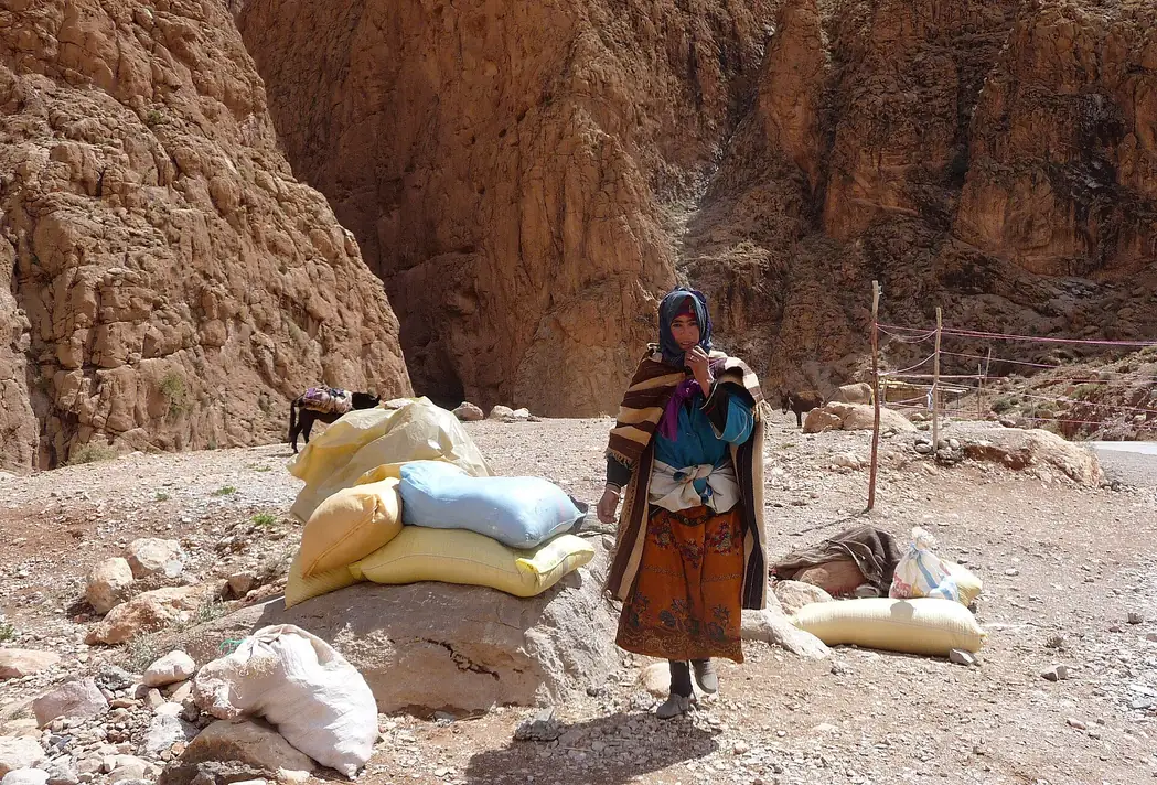 Rock walls of the Todra Gorge