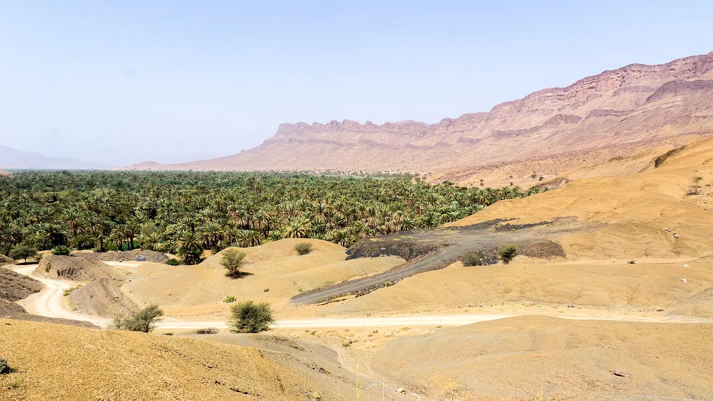 Palm groves along the valley, Draa Valley
