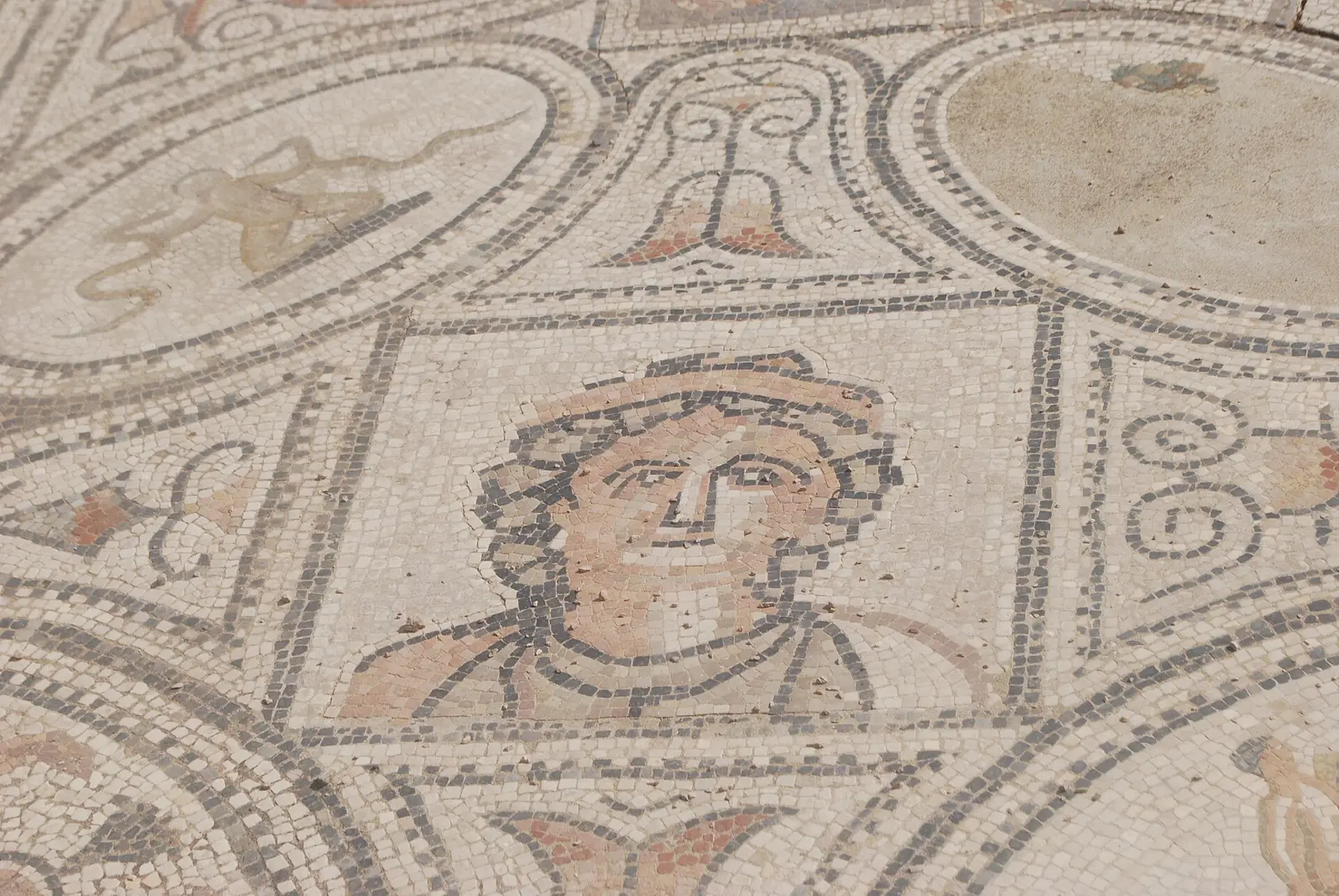 Roman floor mosaic at Volubilis