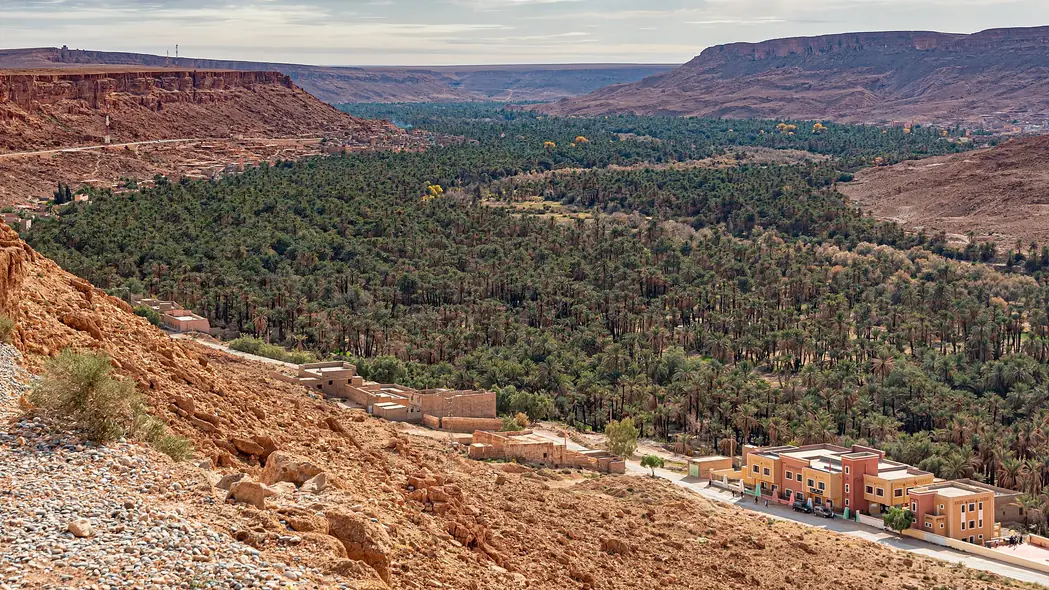 Palm groves of the Ziz Valley