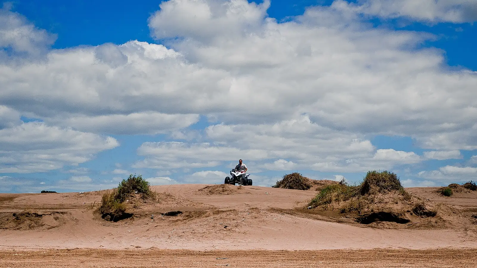 Quad rider crossing low sandy dunes